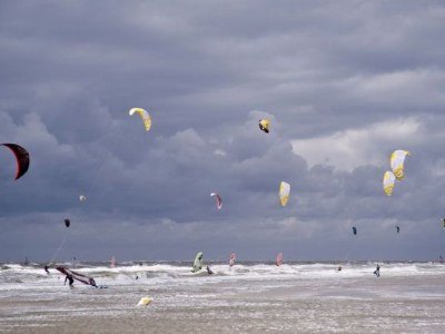 stichting-de-noordzee-thumb